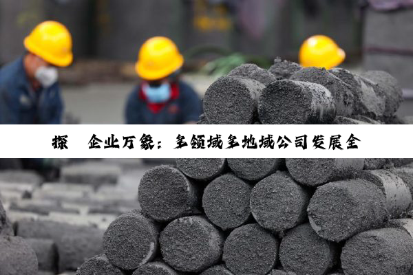 探赜企业万象：多领域多地域公司发展全景洞察